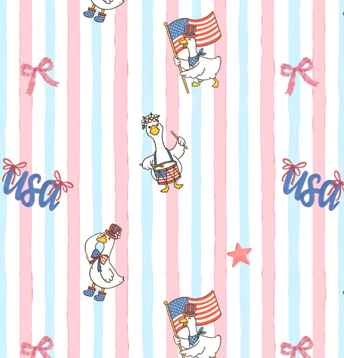 Personalized Cute Goose America 250 Embroidered