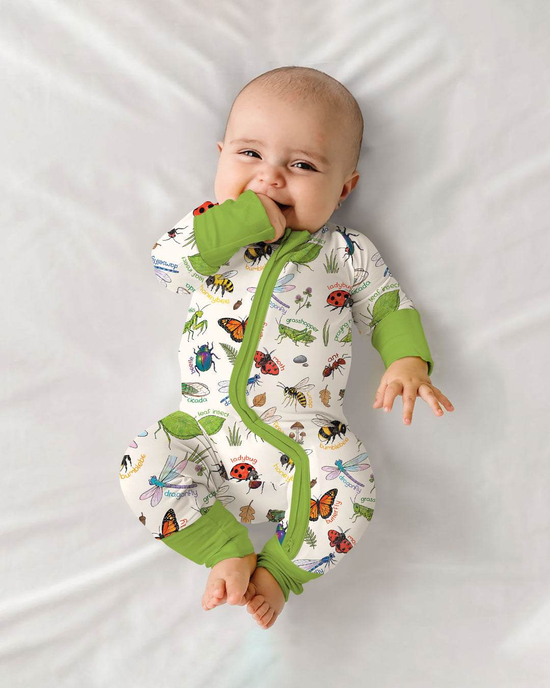 Bug Learning Bamboo Convertible Zippy