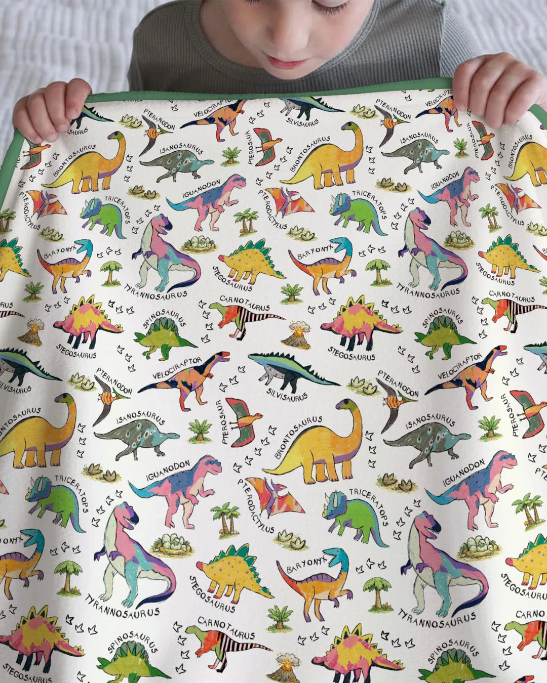 All The Dino Types Bamboo Blanket