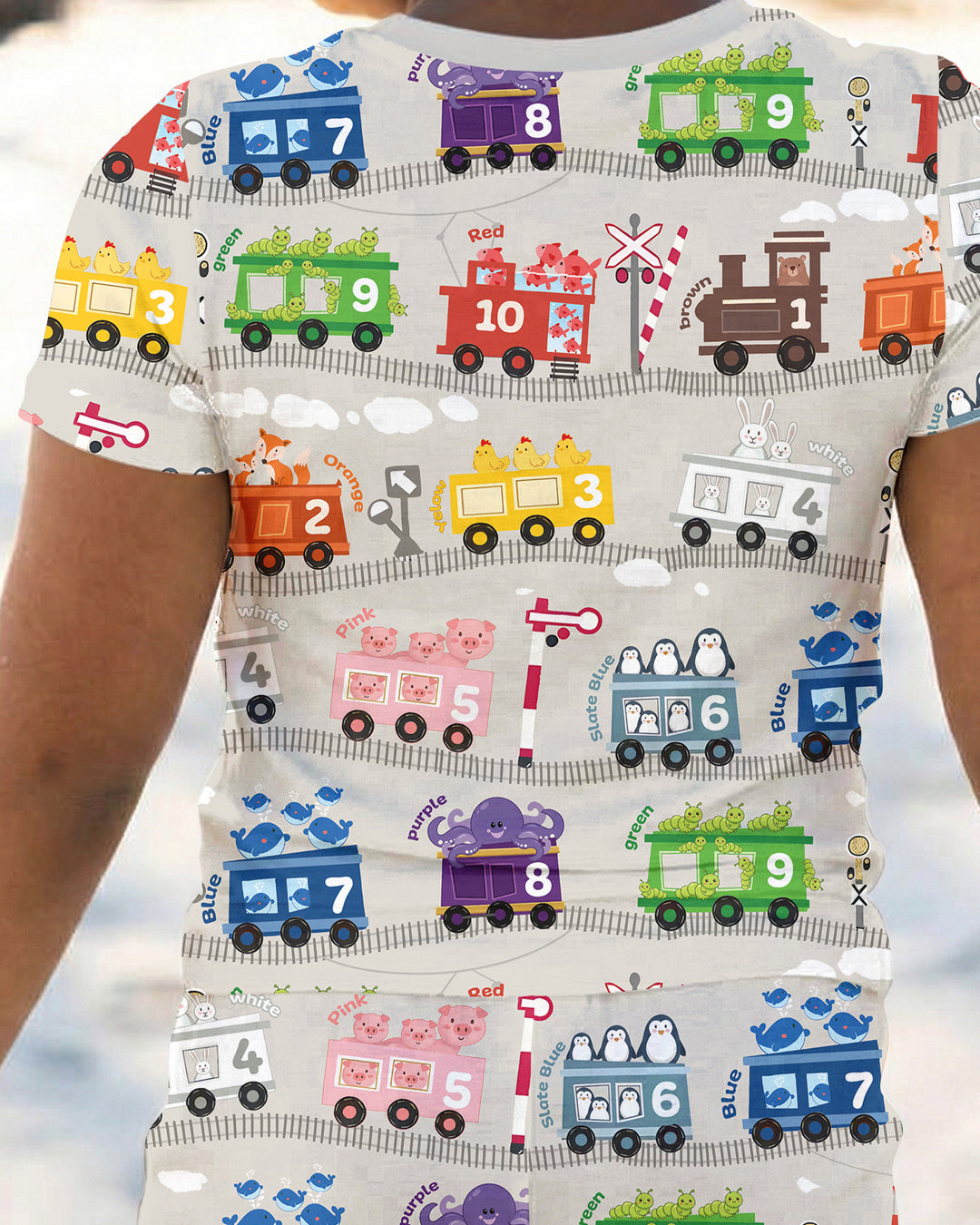 Color Train Bamboo Two Piece Short Sleeve Pajama Set