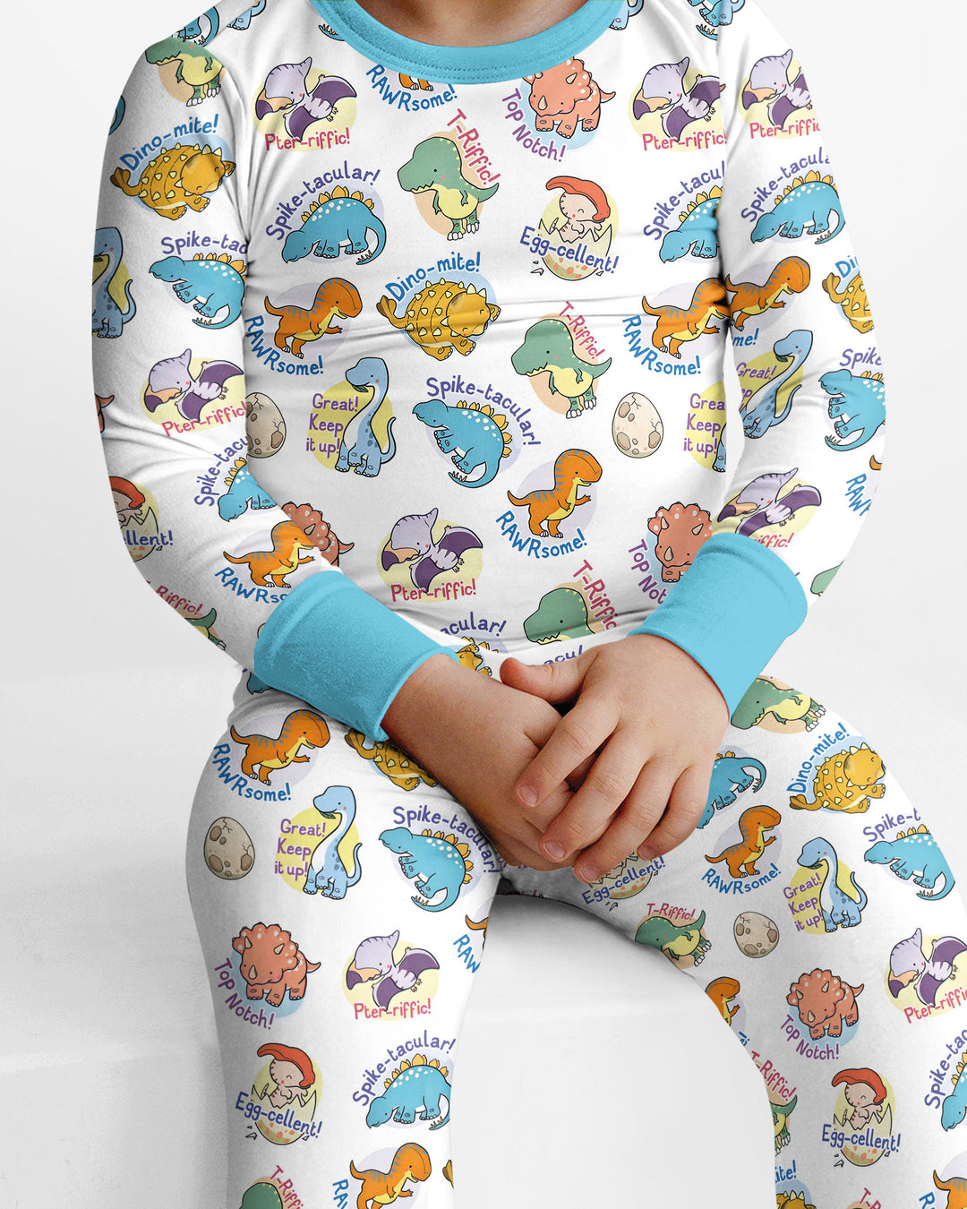 Cute Dinosaur Pun Bamboo Two Piece Long Sleeve Pajama Set