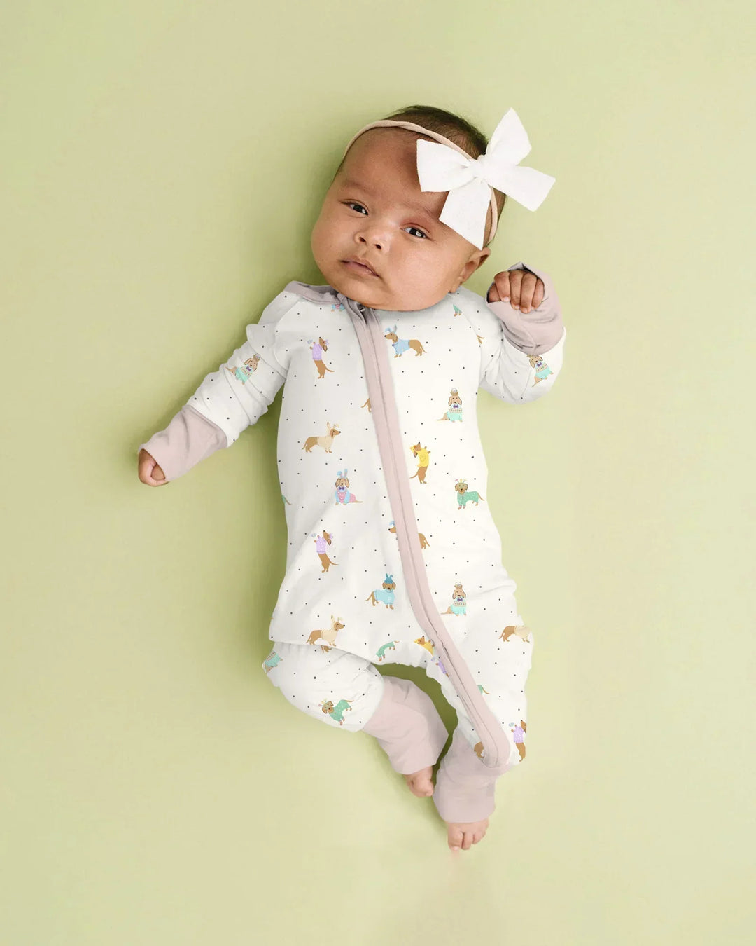 Easter Dachshund Bamboo Convertible Zippy