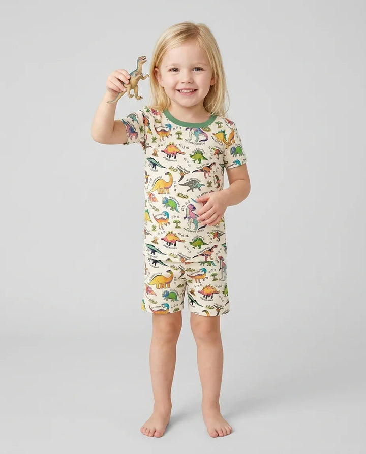 All The Dino Types Bamboo Two Piece Short Sleeve Shorts Pajama Set