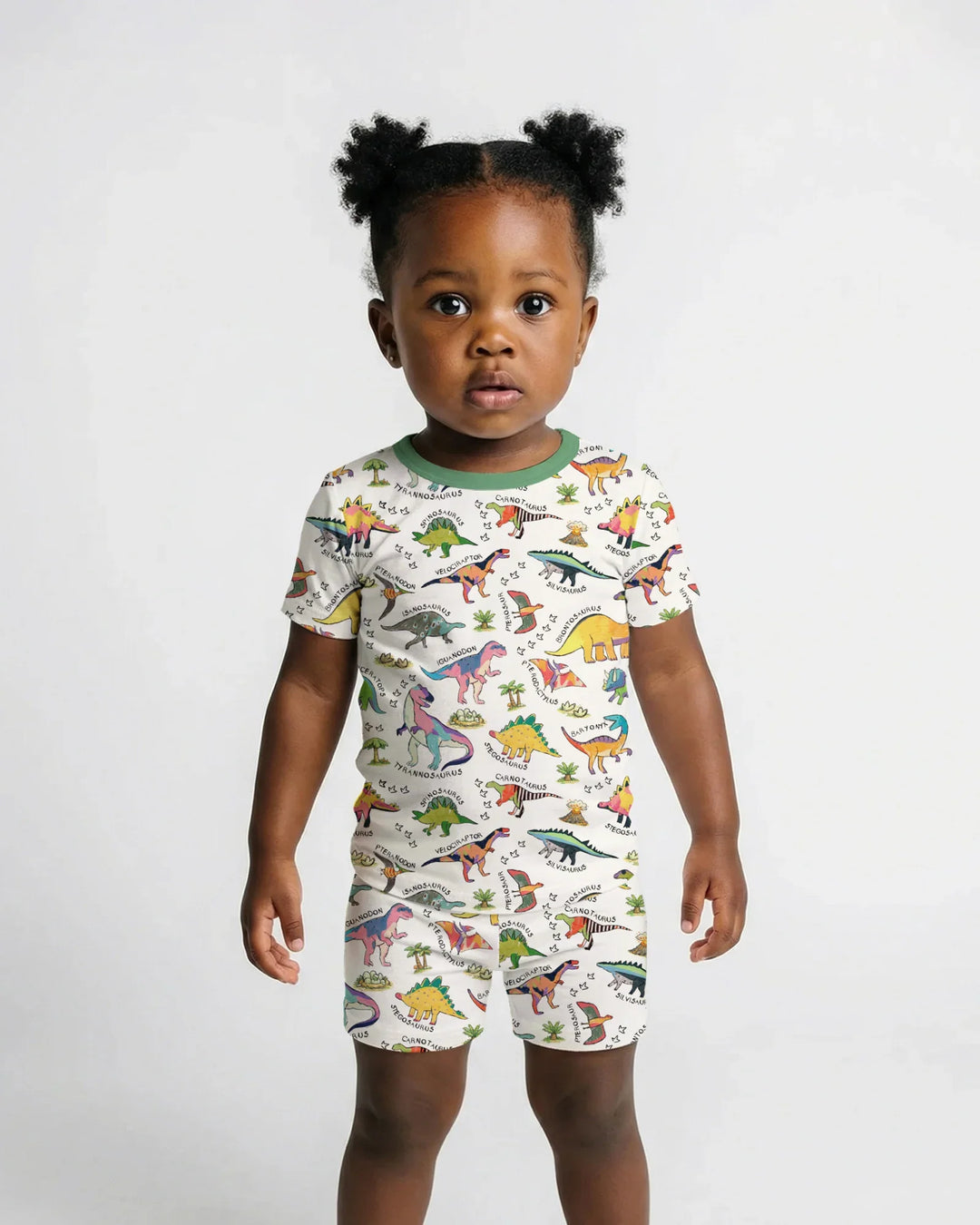 All The Dino Types Bamboo Two Piece Short Sleeve Shorts Pajama Set