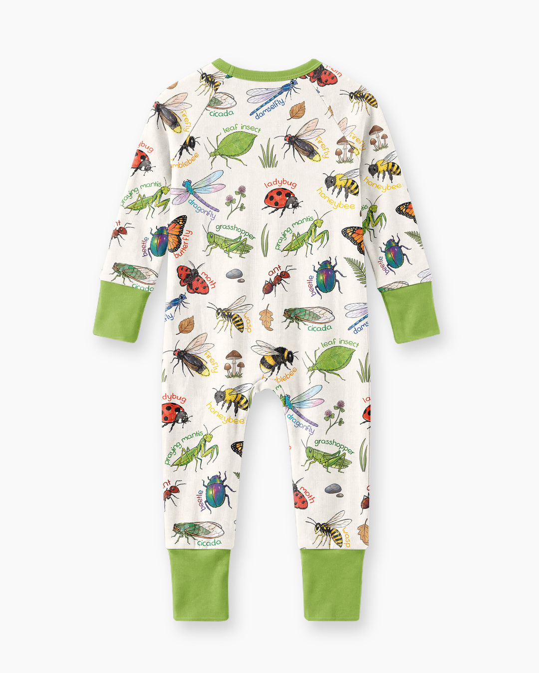 Bug Learning Bamboo Convertible Zippy