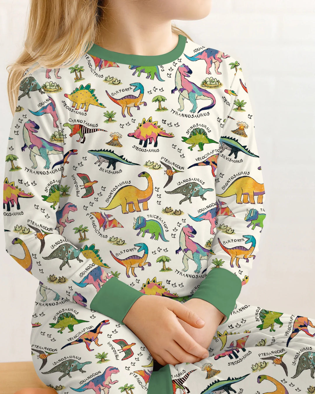 All The Dino Types Bamboo Two Piece Long Sleeve Pajama Set