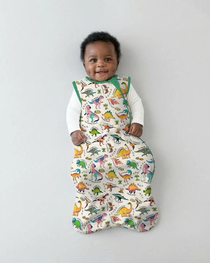 All The Dino Types Bamboo Sleep Bag