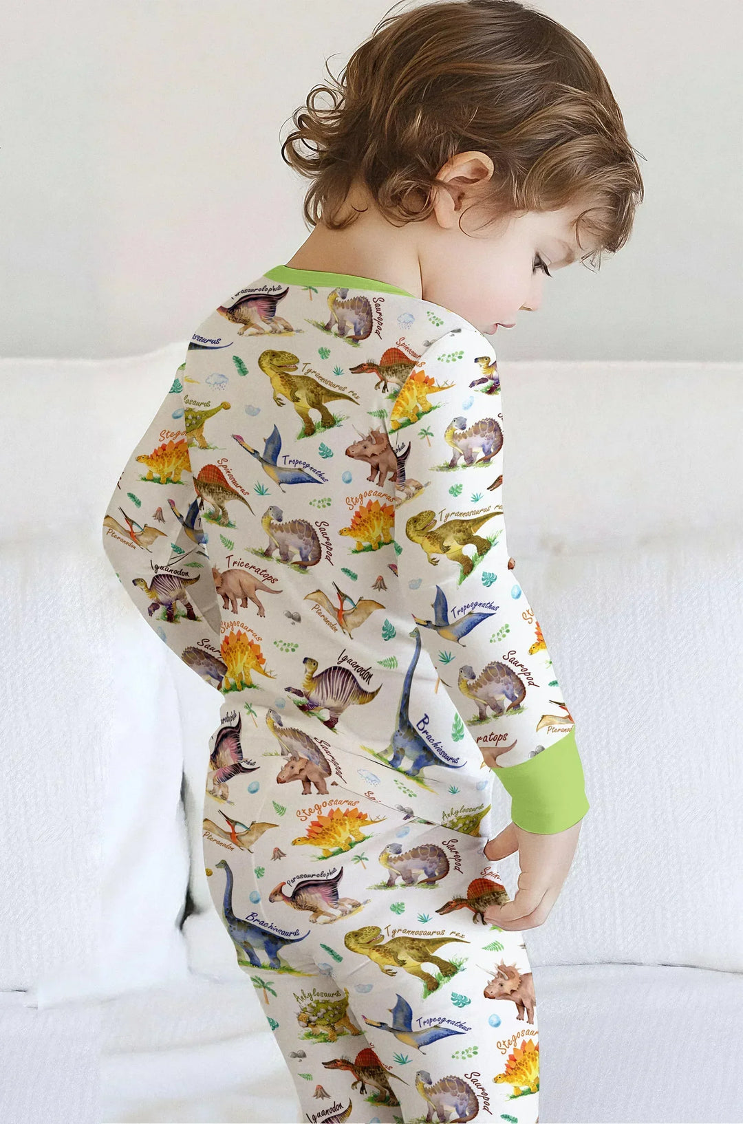 Dino Dreamland Bamboo Convertible Zippy