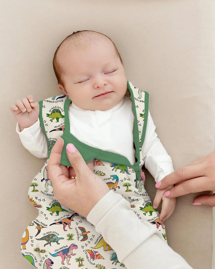 All The Dino Types Bamboo Sleep Bag