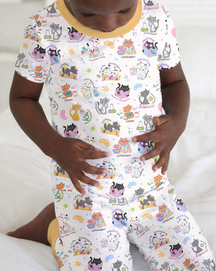 Funny Cat Love Scientist Bamboo Two Piece Short Sleeve Pajama Set