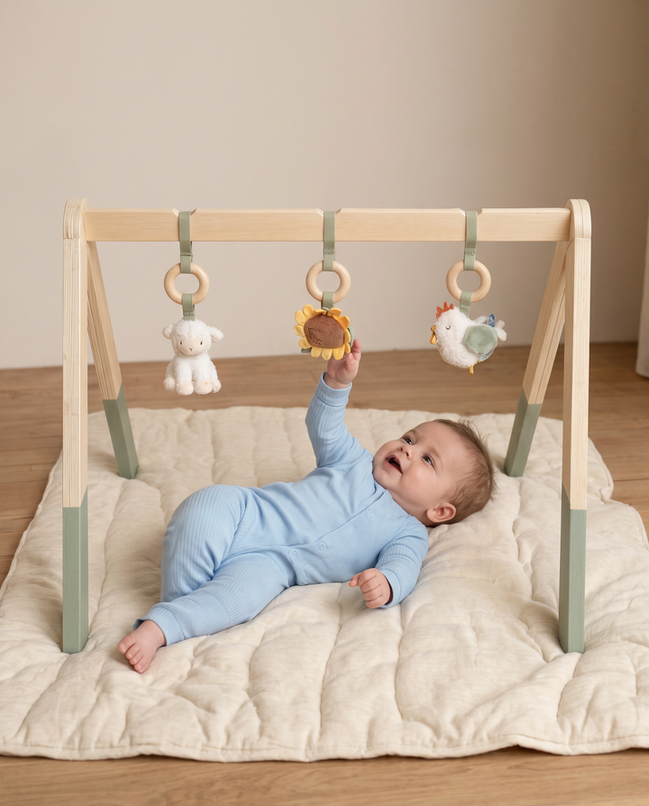 Little Farm Wooden Baby Gym