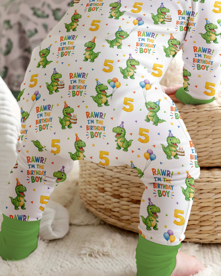 Personalized Dinosaur Birthday Boy Bamboo Convertible Zippy