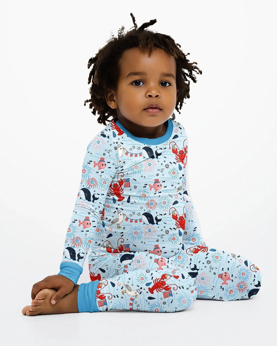 Celebrate 4th of July Family Matching Bamboo Two Piece Long Sleeve Pajama Set