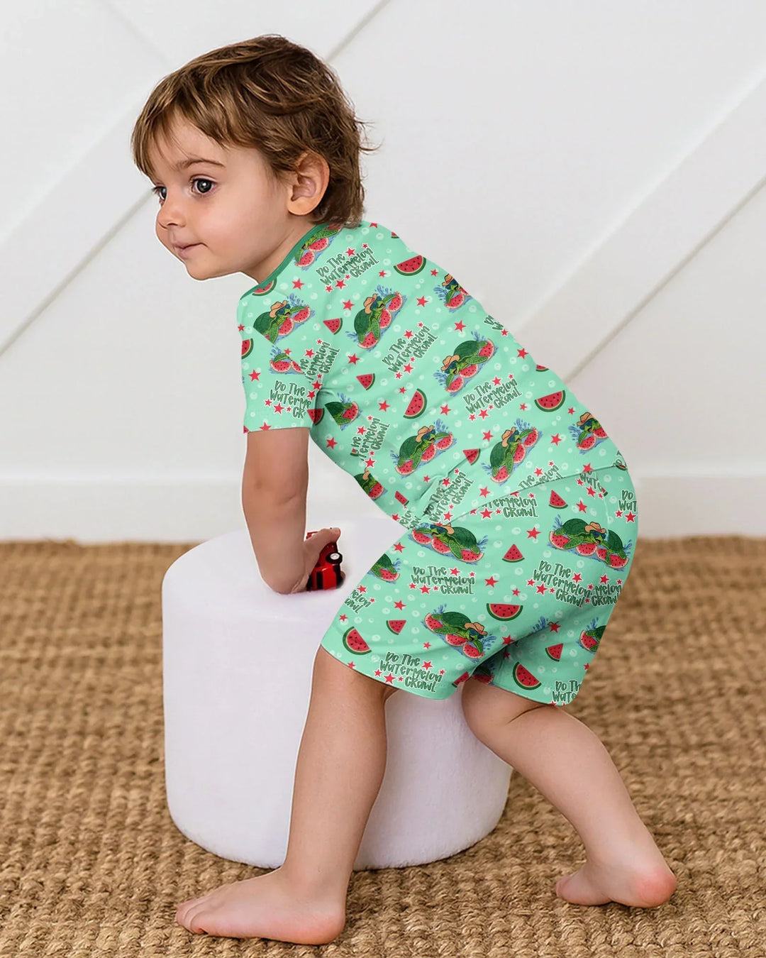 Watermelon Turtle Family Matching Bamboo Two Piece Short Sleeve Shorts Pajama Set