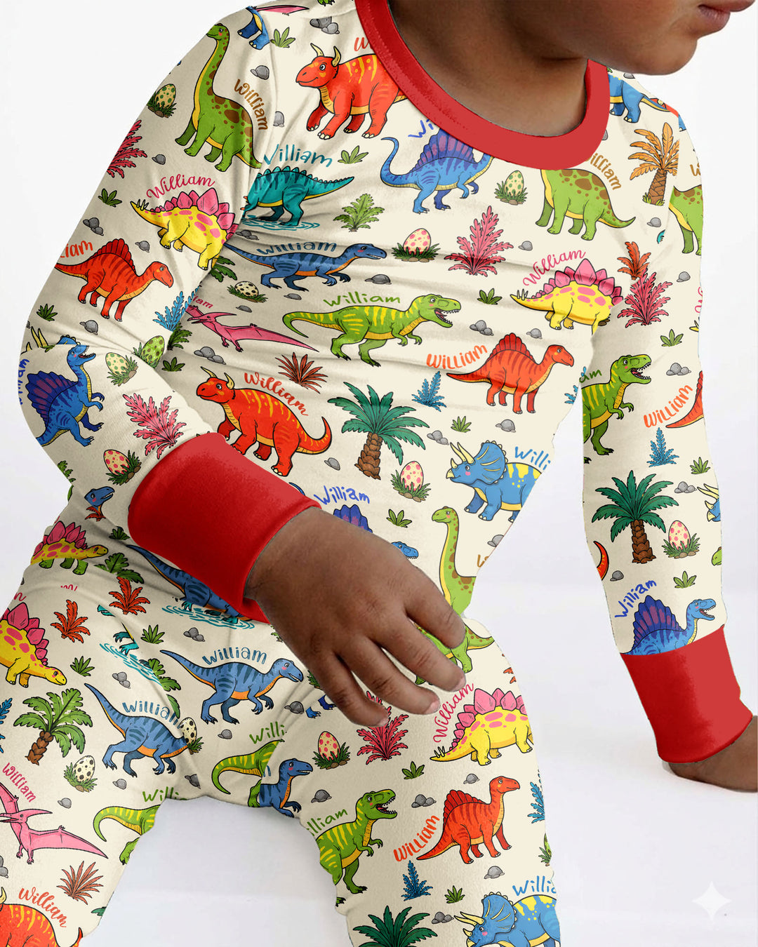 Dino Field Guide Custom Name Bamboo Two Piece Long Sleeve Pajama Set
