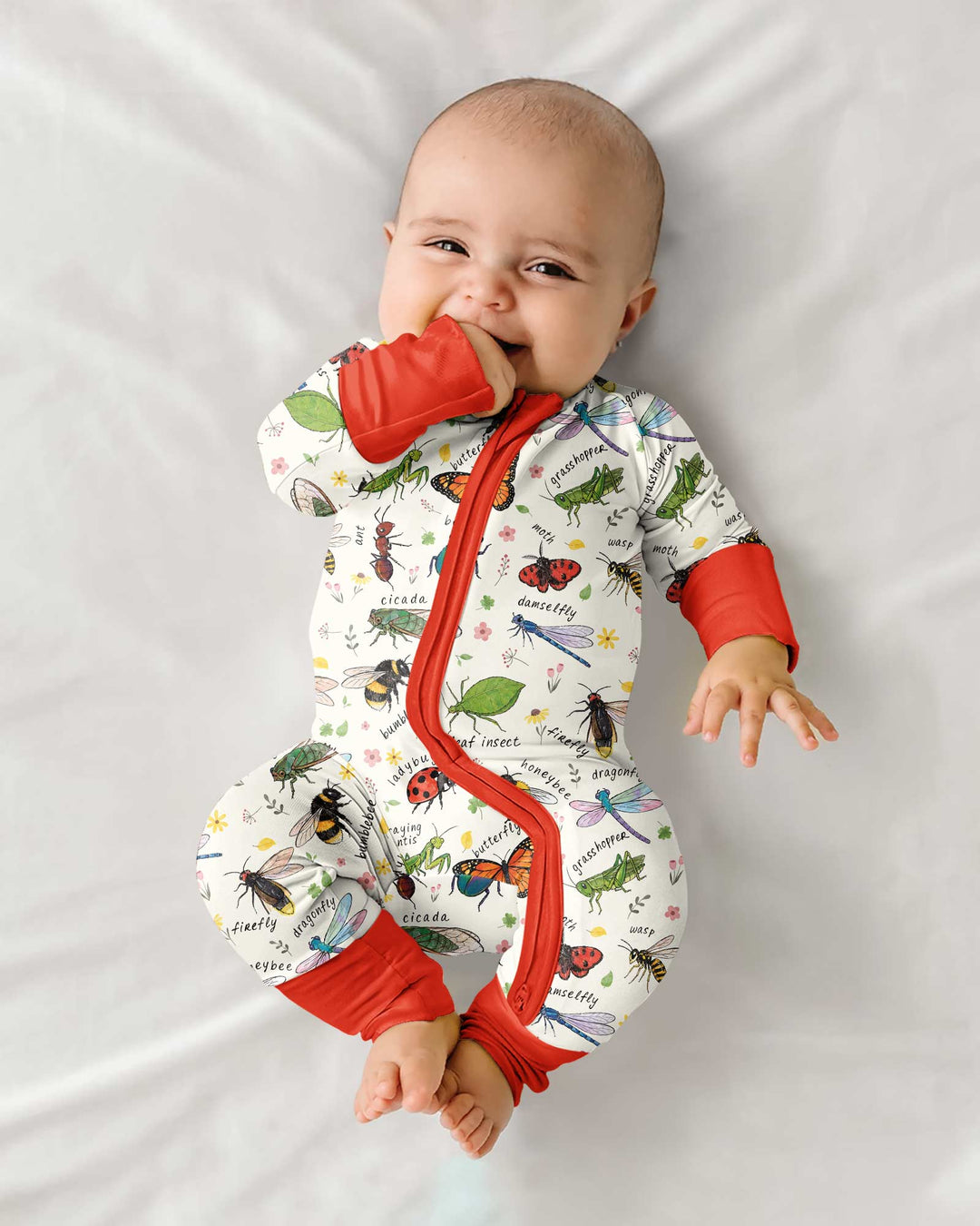 Bug Learning Bamboo Convertible Zippy