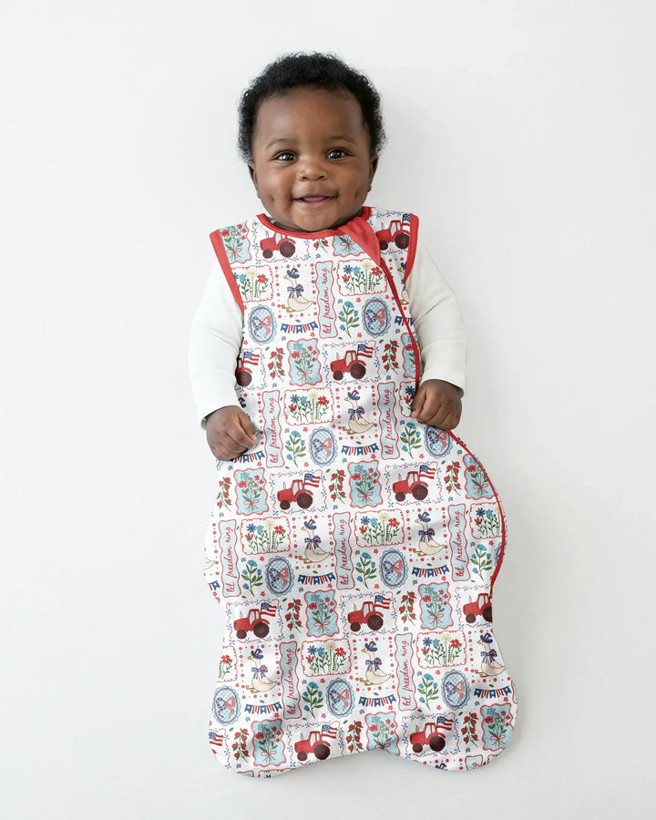 Patriotic USA Silly Goose Family Matching Bamboo Sleep Bag