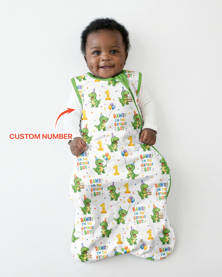 Personalized Dinosaur Birthday Boy Bamboo Sleep Bag