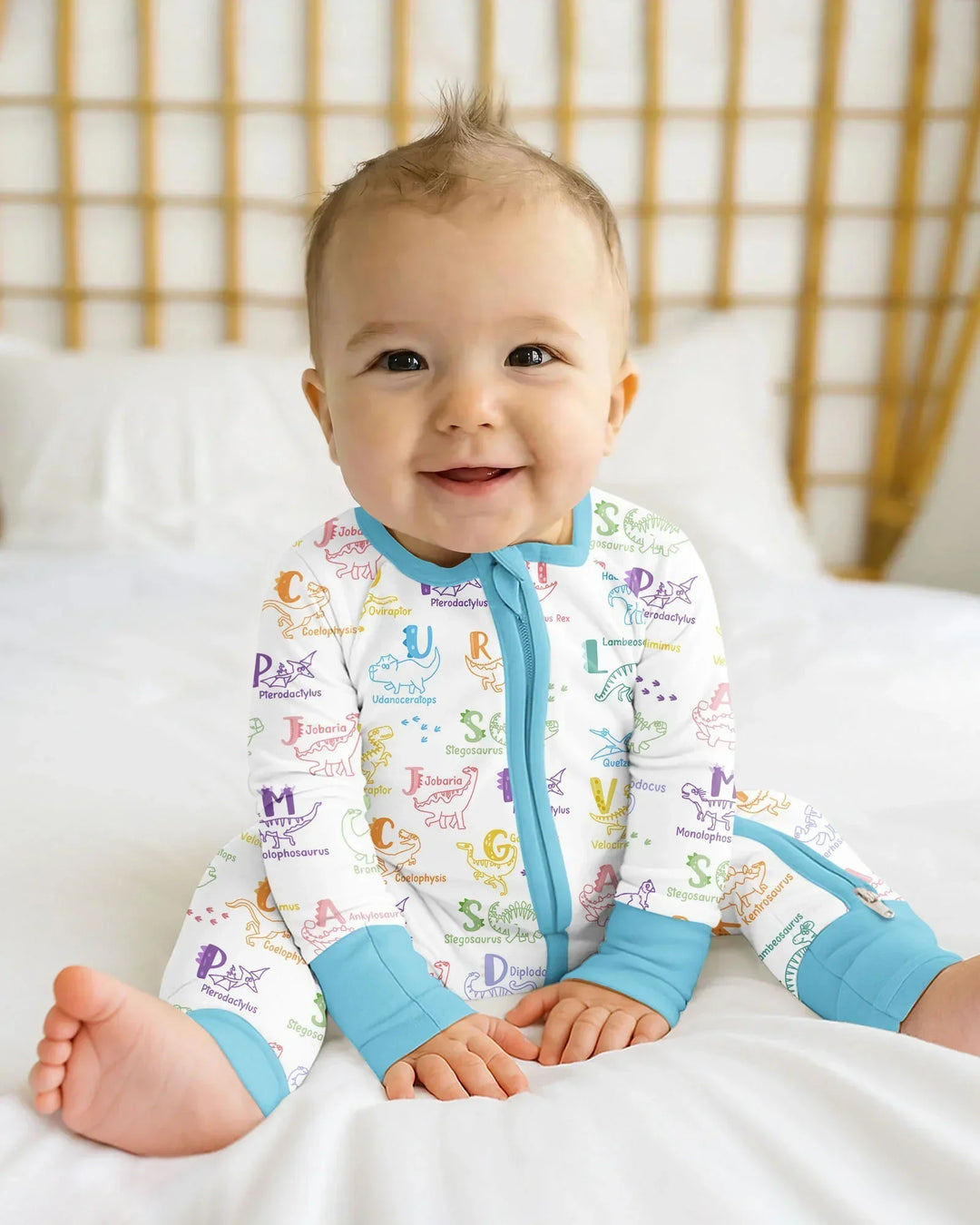 Dino Alphabet ABC Bamboo Convertible Zippy