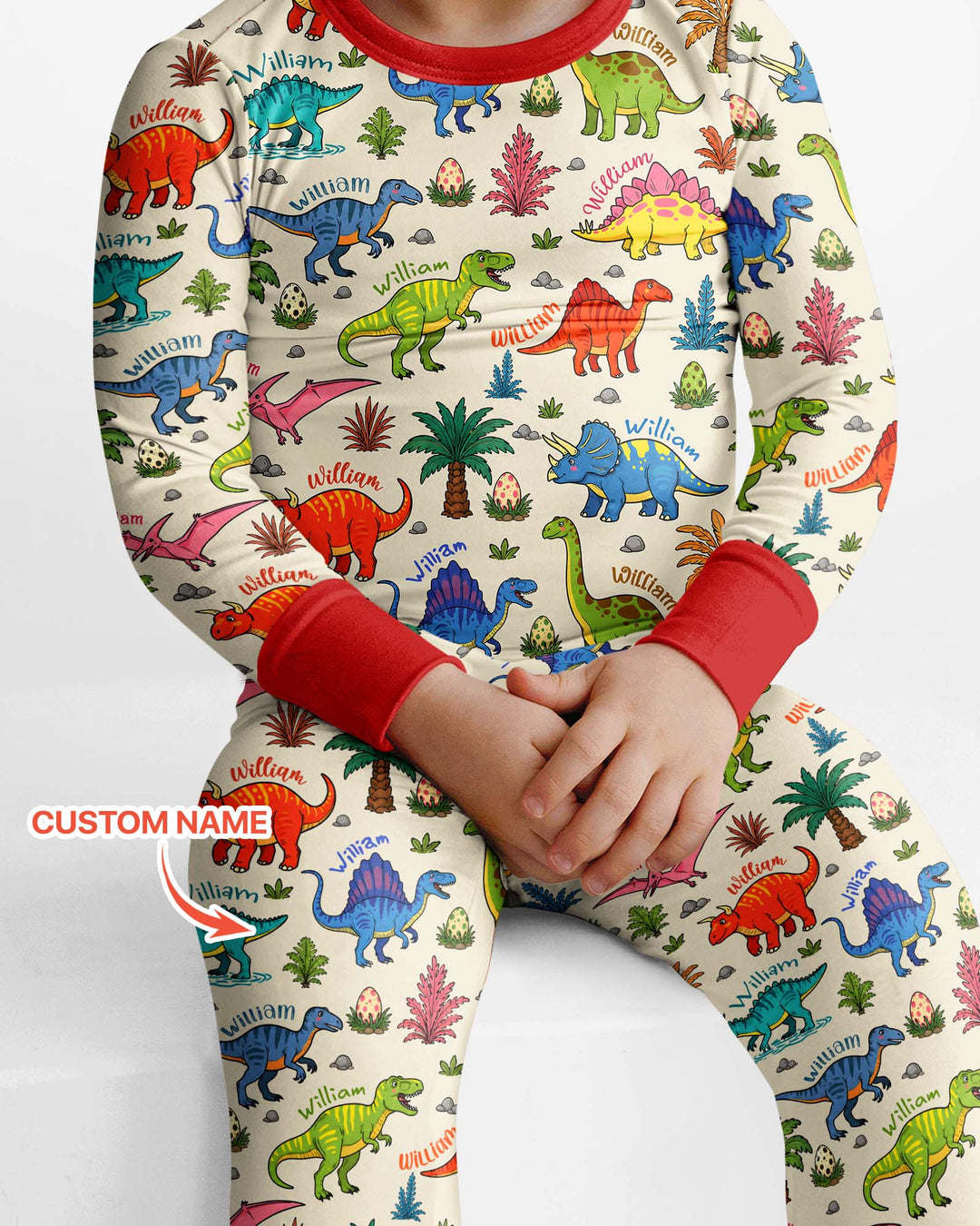 Dino Field Guide Custom Name Bamboo Two Piece Long Sleeve Pajama Set