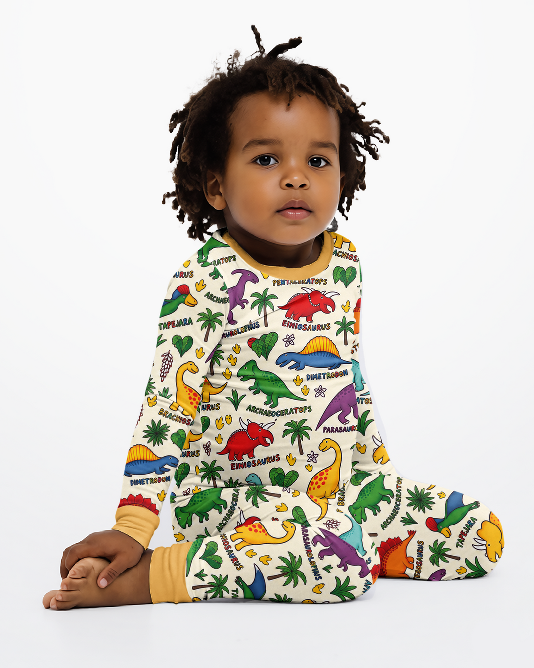 Full Dinosaur Bamboo Two Piece Long Sleeve Pajama Set
