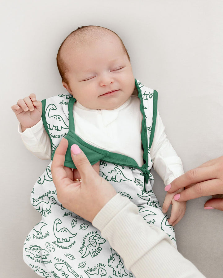 Dinosaur Park Bamboo Sleep Bag