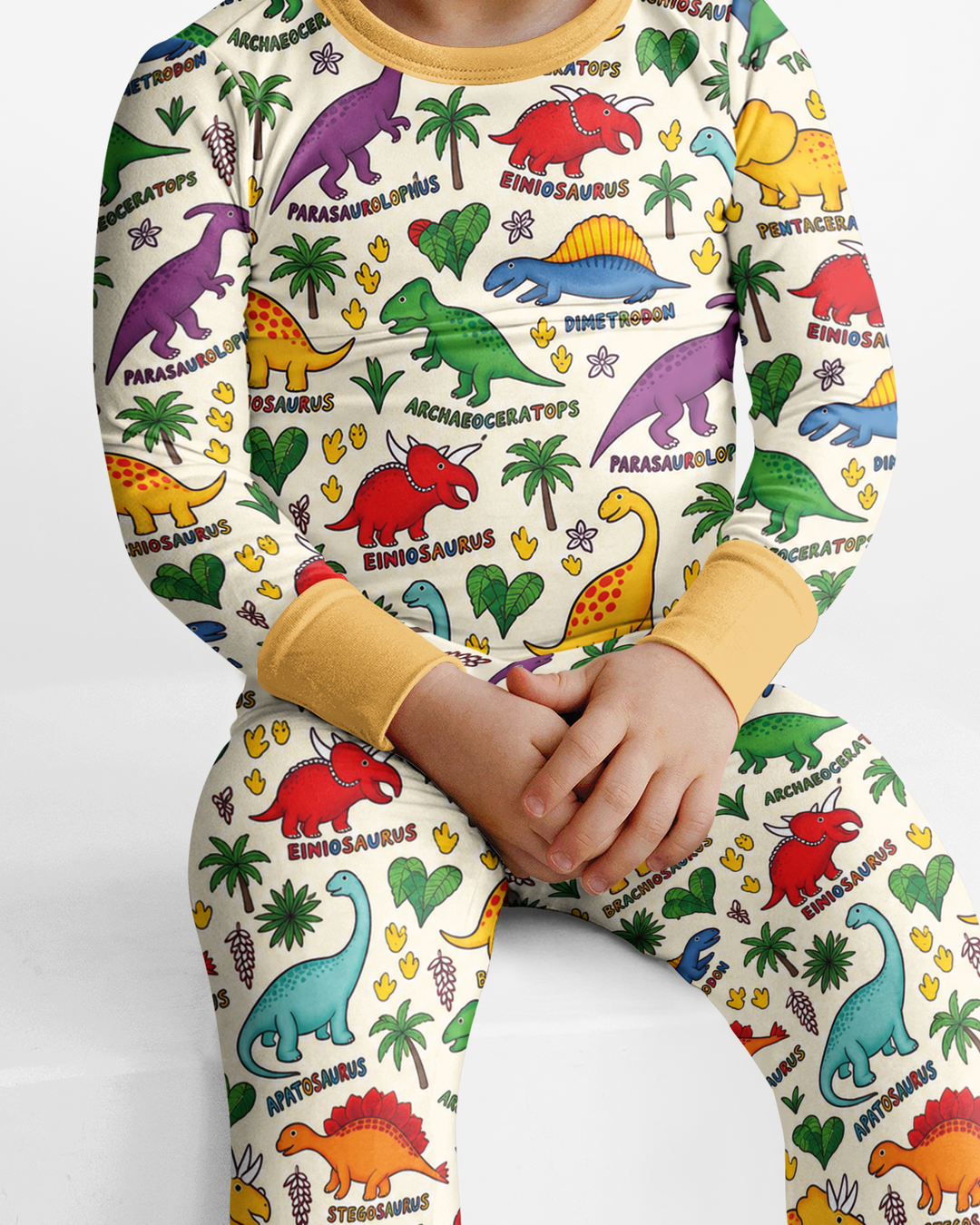 Full Dinosaur Bamboo Two Piece Long Sleeve Pajama Set