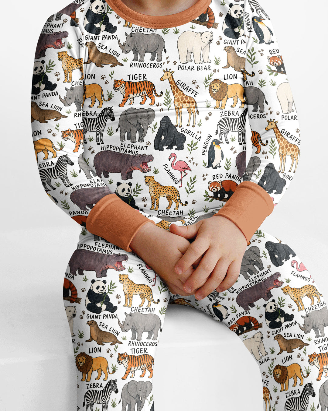 Zoo Animal Bamboo Two Piece Long Sleeve Pajama Set