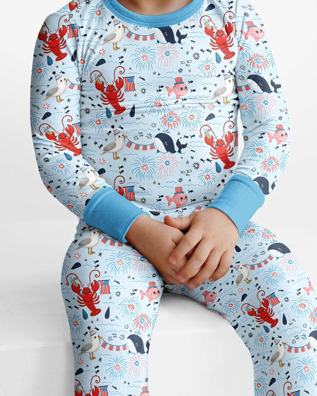 Celebrate 4th of July Family Matching Bamboo Two Piece Long Sleeve Pajama Set