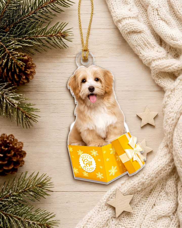 Best Gift Ever- Photo Upload Acrylic Ornament