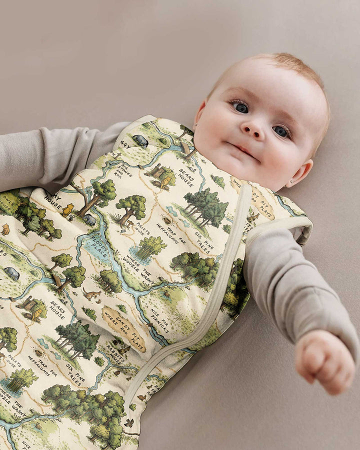 Classic Bear Maps Bamboo Sleep Bag