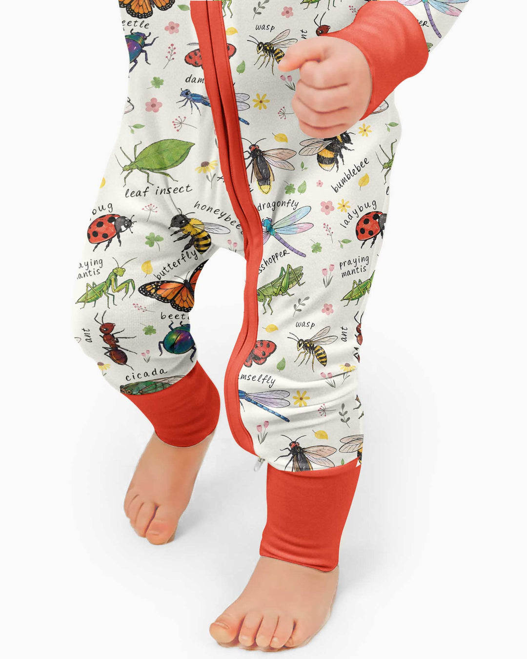 Bug Learning Bamboo Convertible Zippy