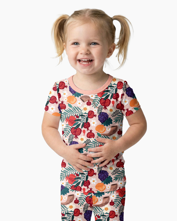 Pomegranate Blessings Night Family Matching Bamboo Two Piece Short Sleeve Pajama Set