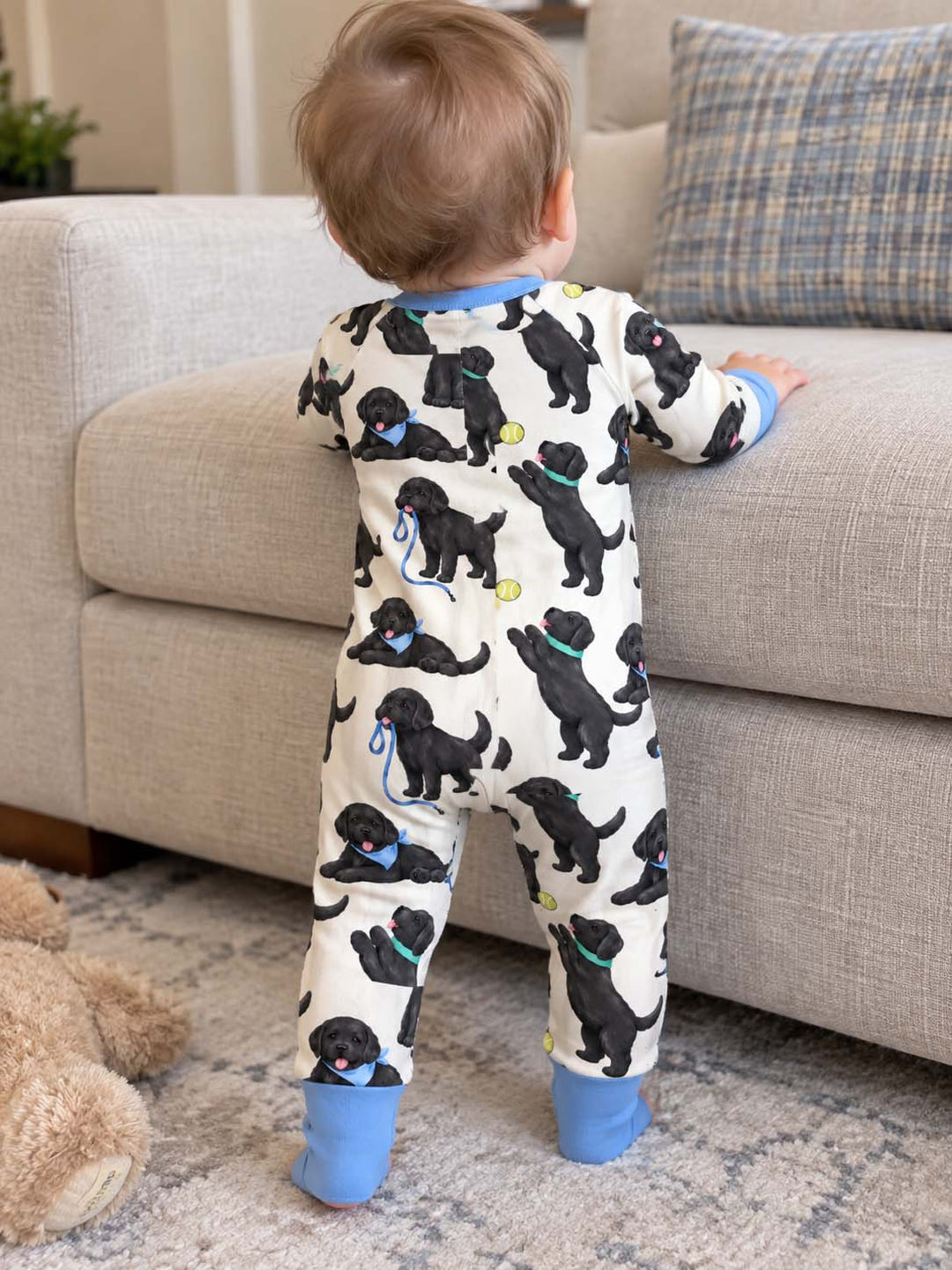 Playful Black Labrador Puppies Bamboo Convertible Zippy