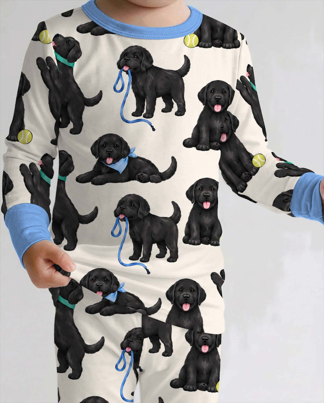 Playful Black Labrador Puppies Bamboo Two Piece Long Sleeve Pajama Set