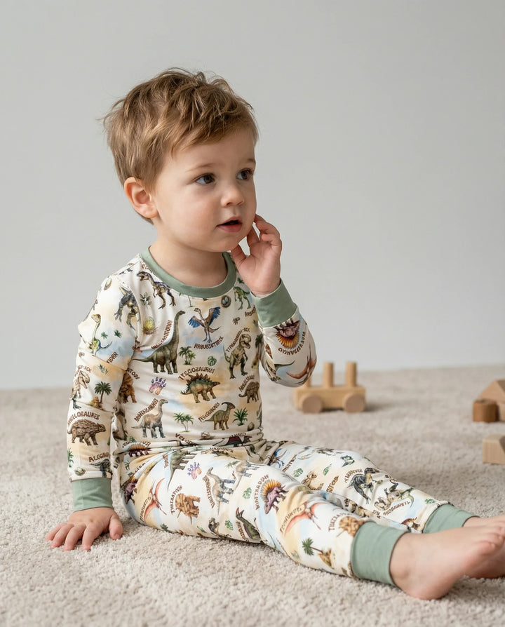Dino Discovery Bamboo Two Piece Long Sleeve Pajama Set