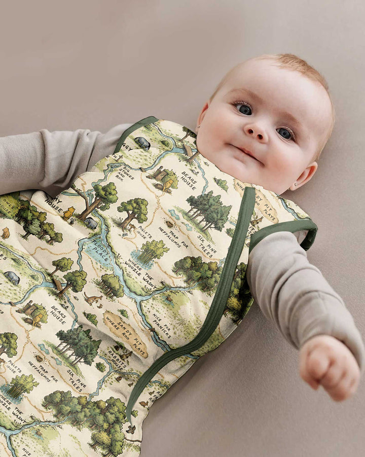 Classic Bear Maps Bamboo Sleep Bag