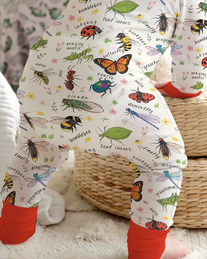 Bug Learning Bamboo Convertible Zippy