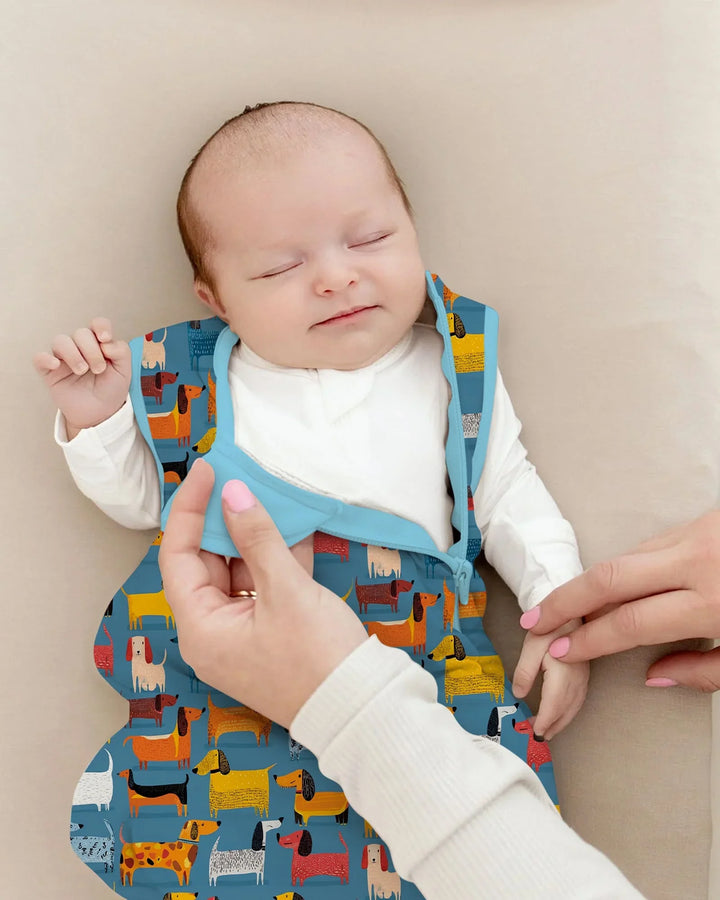 Whimsical Dachshund Bamboo Sleep Bag